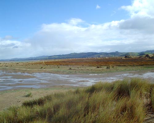 Pōrangahau estuary