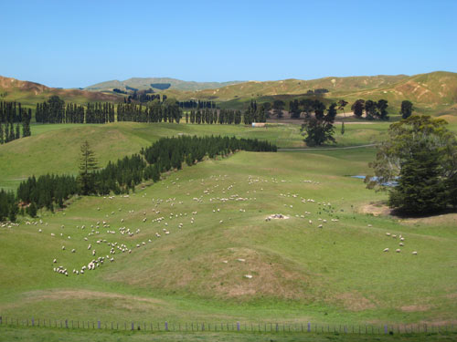 Māngārara station, Central Hawke’s Bay