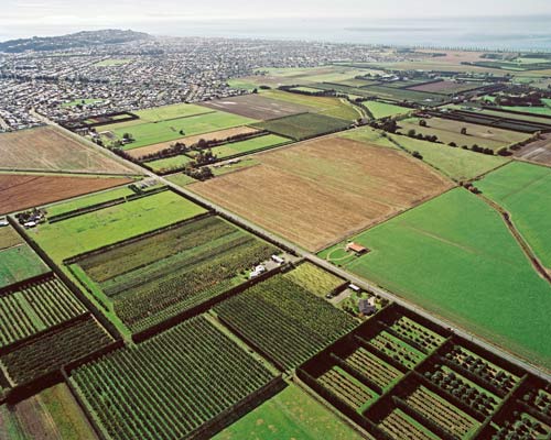 Horticulture on the Heretaunga plain
