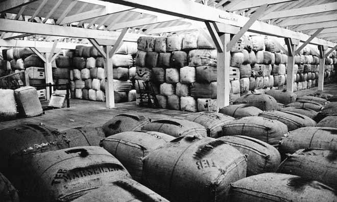 Wool stockpile, 1967