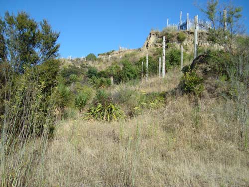 Ōtātara pā, Taradale