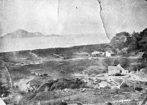Waimārama station, 1890s