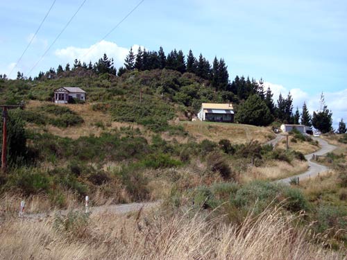 Te Hāroto, 2009