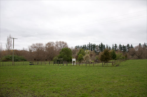 Old Frasertown cemetery