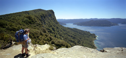 Tramping in Te Urewera