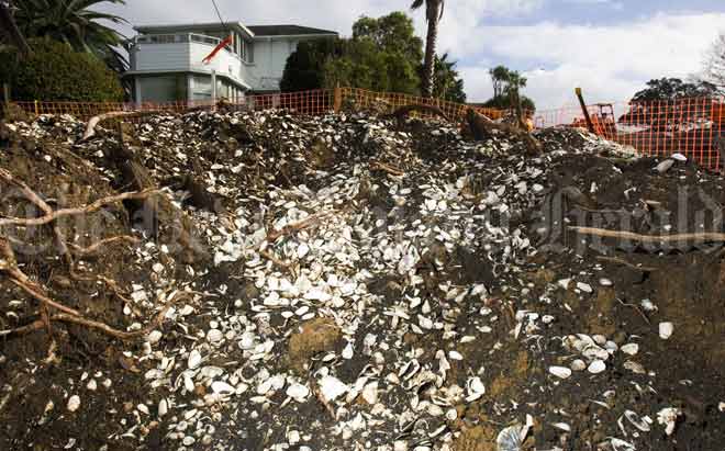 Māori midden, Takapuna