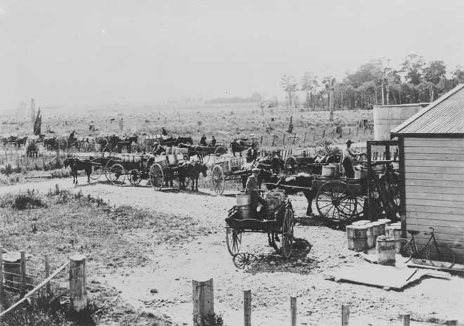Taranaki dairy factory, around 1902