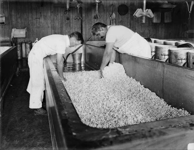 Making cheese
