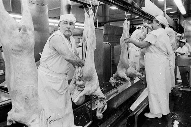 Women become butchers