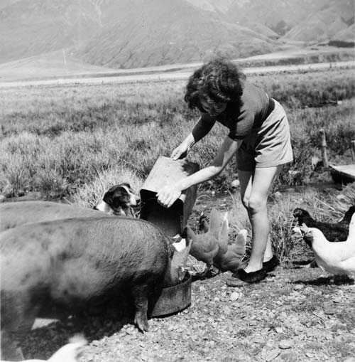 Farm holiday