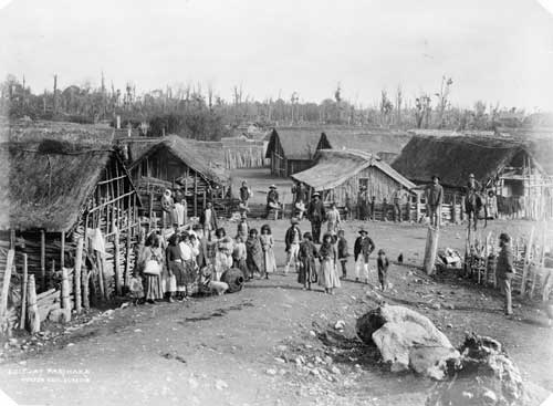 Parihaka, 1880s