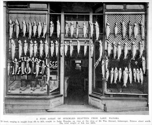  William Stewart, fishmonger