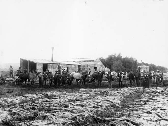 Flax mill, Whakakī