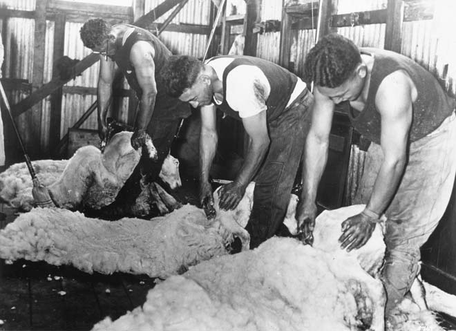 Shearing 