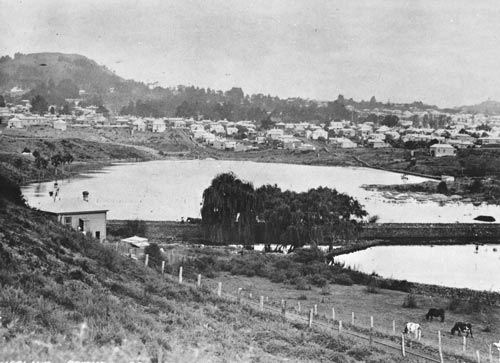 Eden Cricket Club ground