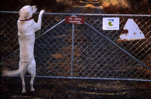 Trespassing on private property