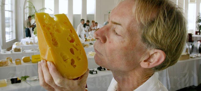 Man looking closely at a large slab of holy yellow cheese