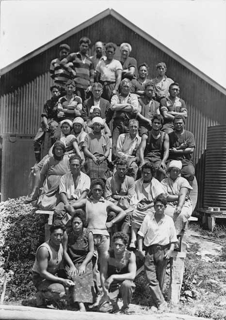 Māori shearing