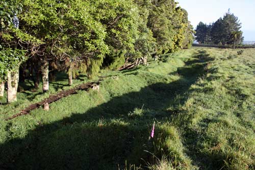 Trench, near Pukerangiora