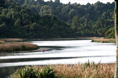 Rotokare Scenic Reserve