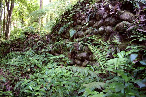 Stone terracing, Te Koru pā