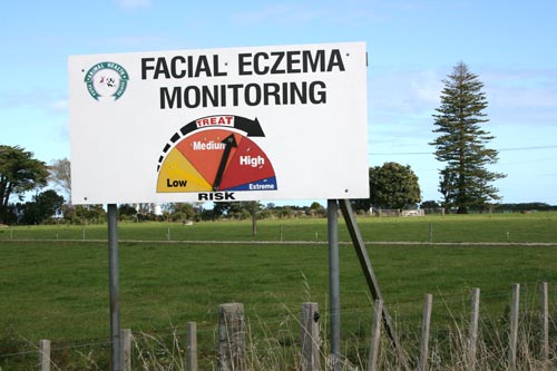 Facial eczema monitoring