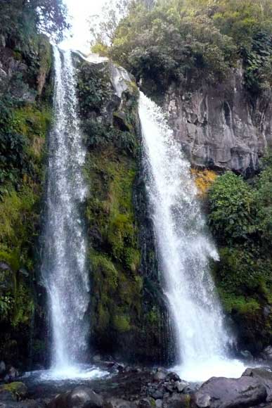 Dawson Falls