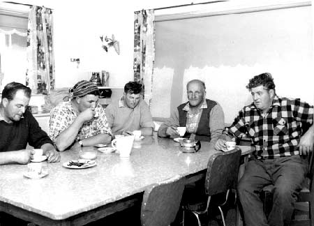 Group of workers sitting around table drinking tea