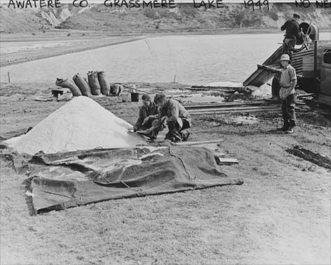 First salt harvest, April 1949