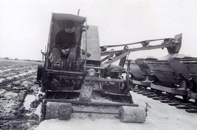 Transporting the salt harvest