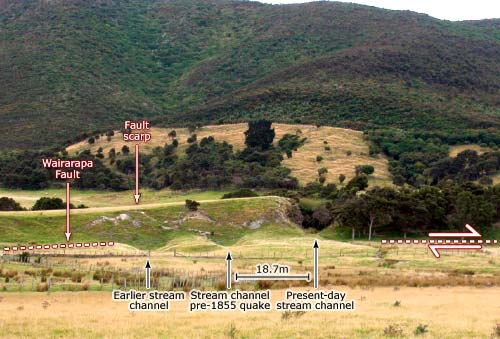 Wairarapa Fault scarp, Pigeon Bush 