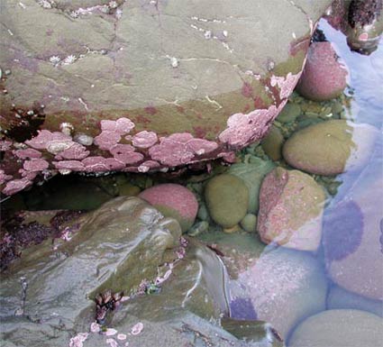 Pink paint 