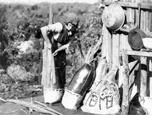 Preparing pōhā for transportation 