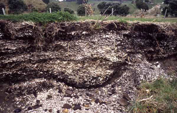 Midden, Waiōtahe
