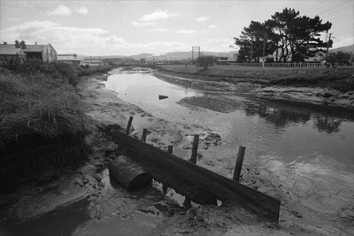 Waiwhetū stream 