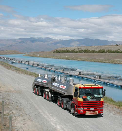 Transporting salmon smolt