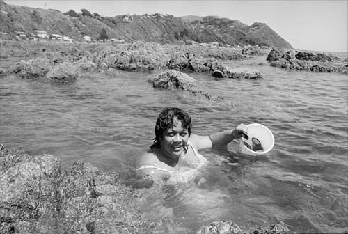 Collecting kina and pāua