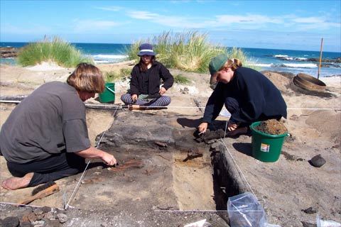 Excavating a midden, Watsons Beach