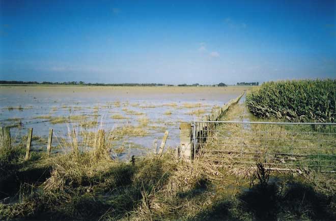Silt-covered farmland and fencing. 