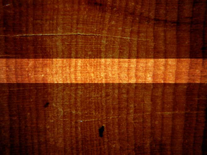 Tree ring growth near the Alpine Fault 
