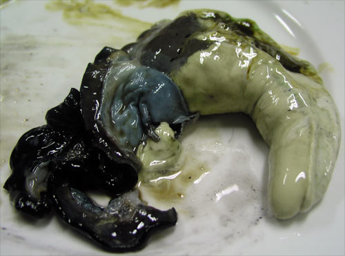 Pāua gut 