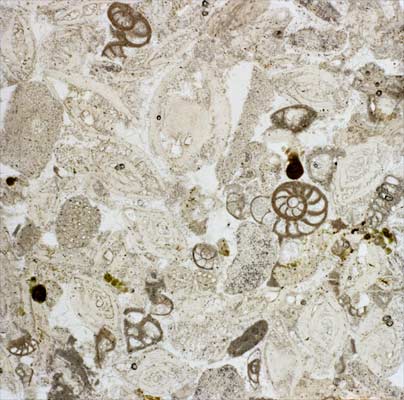 Limestone