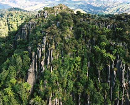 Limestone cliffs, Waitomo 