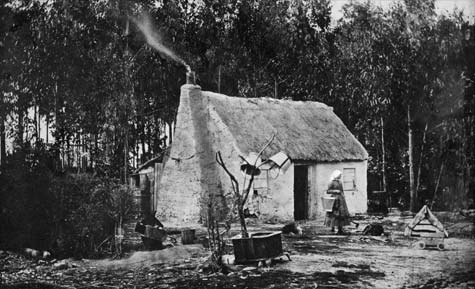 Cob house