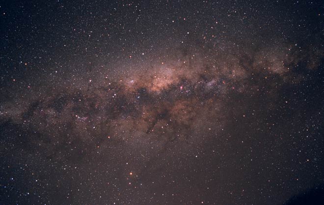 Māngōroa