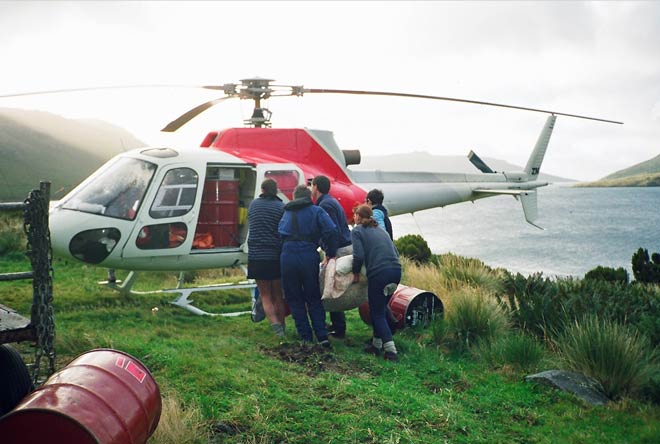 Subantarctic shark attack