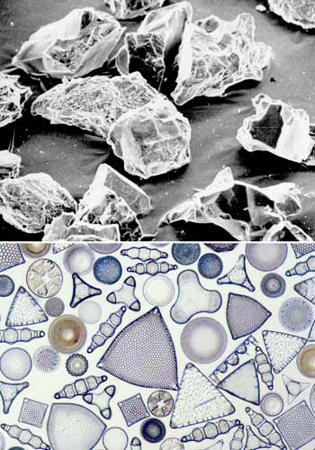 Organic and inorganic sediment 