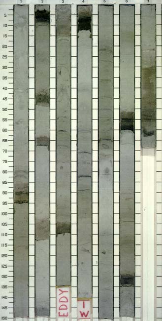 Sediment cores
