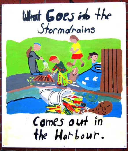 From the storm drain to the sea