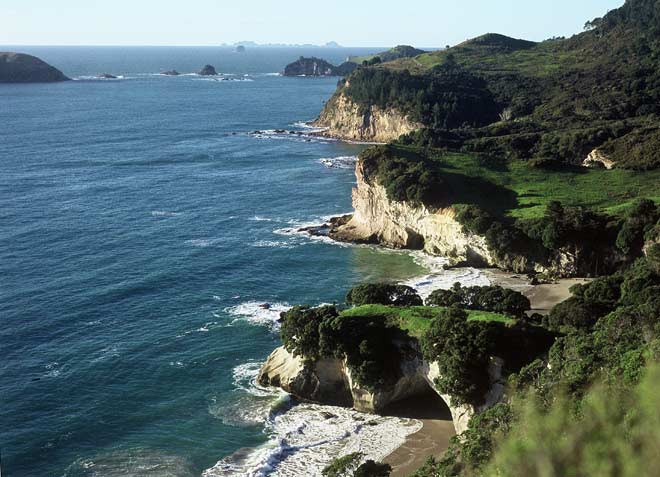 Whanganui a Hei Marine Reserve 